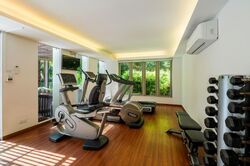 Nassim Regency (D10), Condominium #571613821